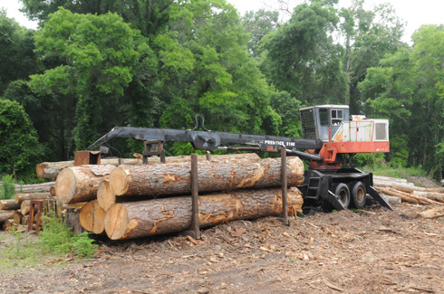 timber sales and forestry_equipment